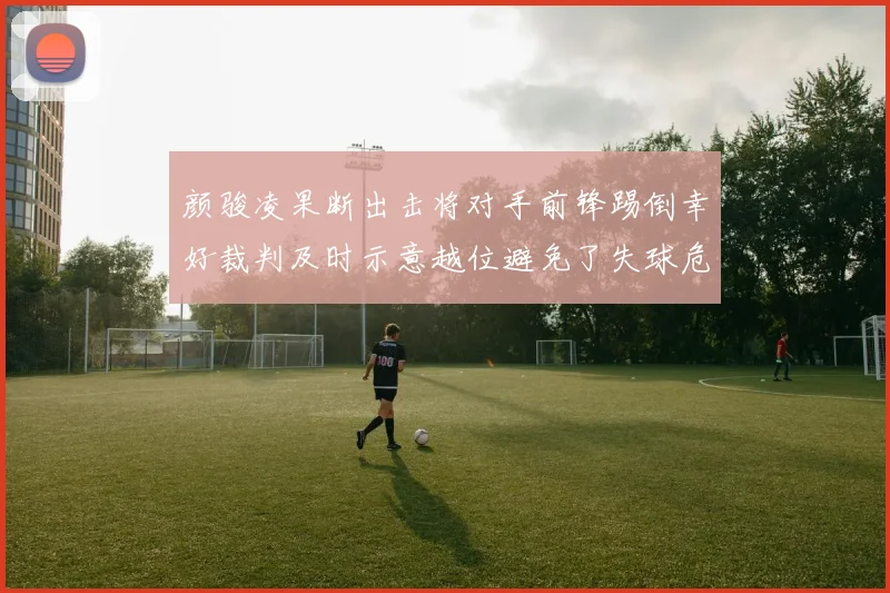 颜骏凌果断出击将对手前锋踢倒幸好裁判及时示意越位避免了失球危机