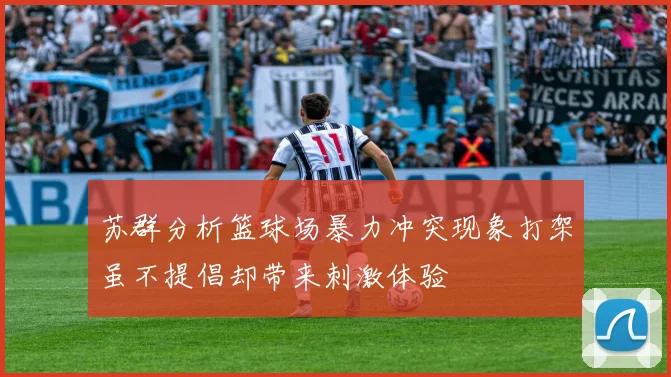 苏群分析篮球场暴力冲突现象打架虽不提倡却带来刺激体验