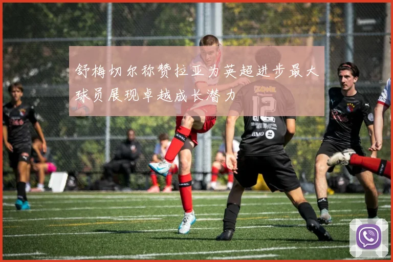 舒梅切尔称赞拉亚为英超进步最大球员展现卓越成长潜力